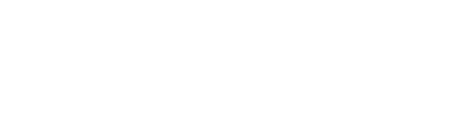 Twisha Technologies